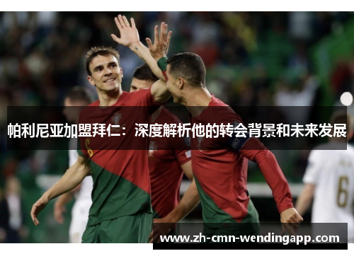 帕利尼亚加盟拜仁：深度解析他的转会背景和未来发展