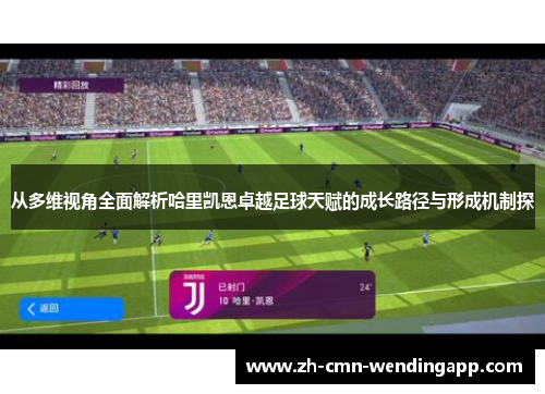 从多维视角全面解析哈里凯恩卓越足球天赋的成长路径与形成机制探 从多维视角全面解析哈里凯恩卓越足球天赋的成长路径与形成机制探