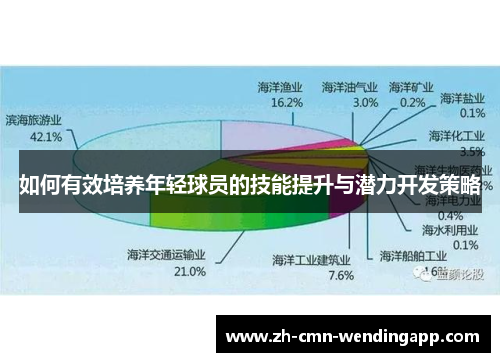 如何有效培养年轻球员的技能提升与潜力开发策略