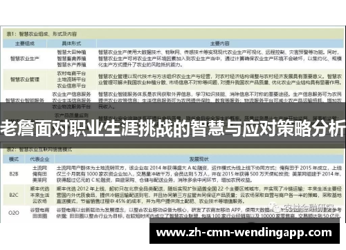老詹面对职业生涯挑战的智慧与应对策略分析