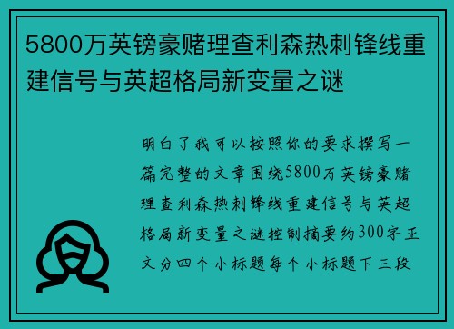 5800万英镑豪赌理查利森热刺锋线重建信号与英超格局新变量之谜 5800万英镑豪赌理查利森热刺锋线重建信号与英超格局新变量之谜